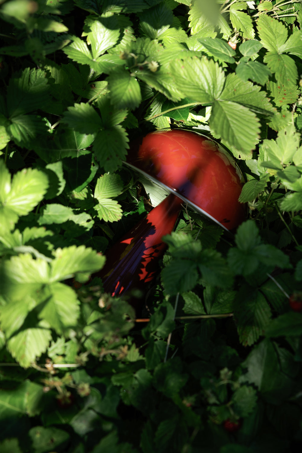 Mush Portabel Lampa Red